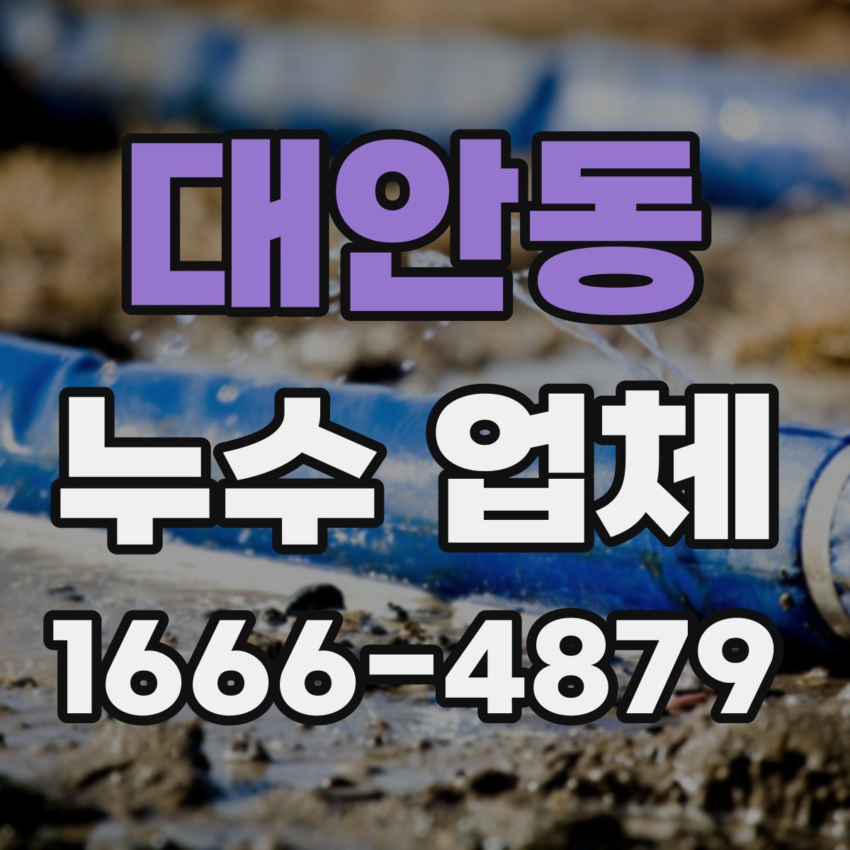 대안동 누수 업체