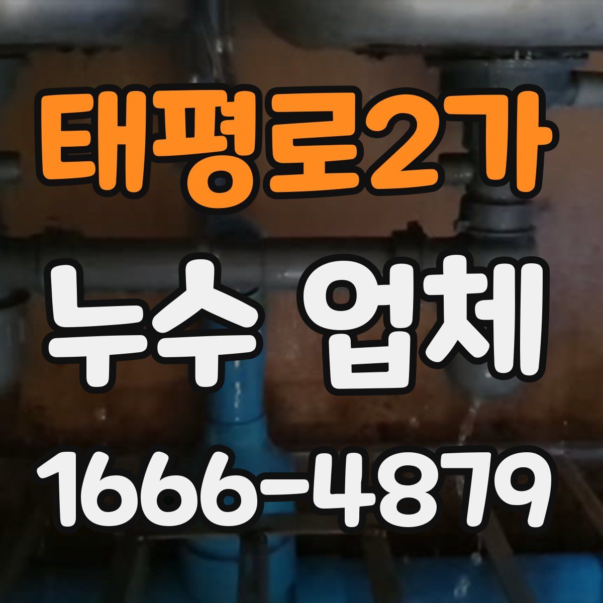 태평로2가 누수 업체