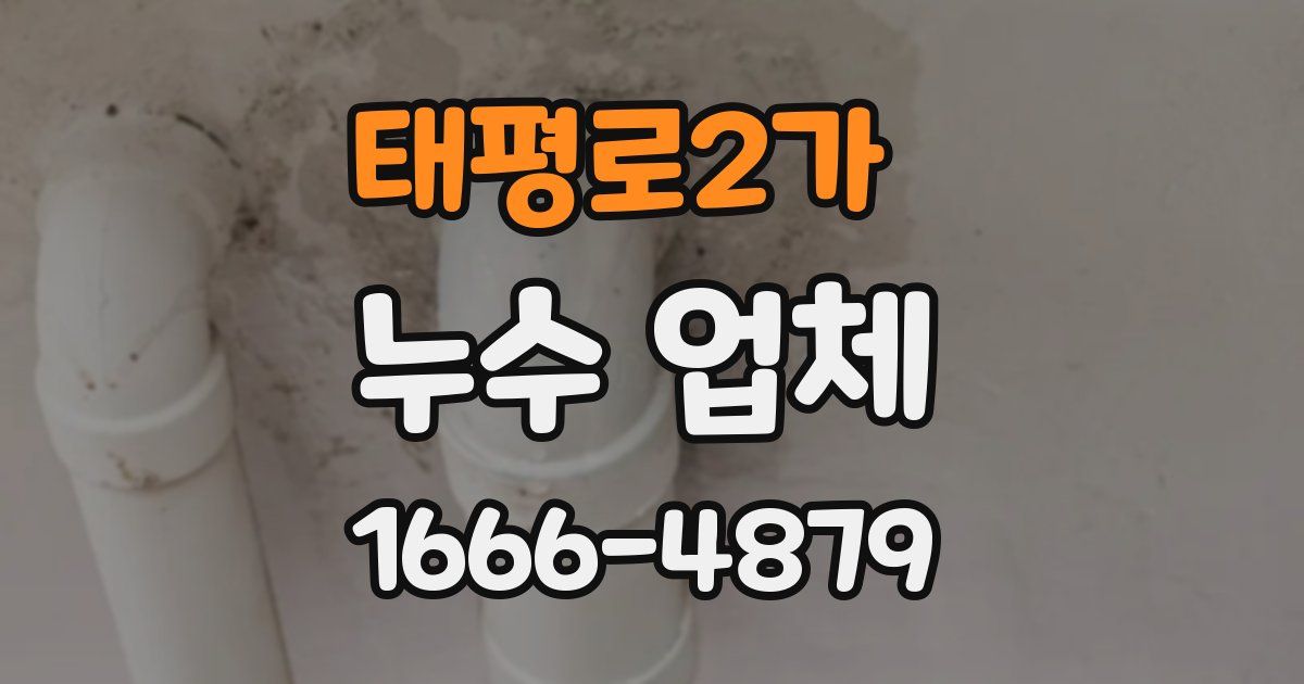 태평로2가 누수 업체