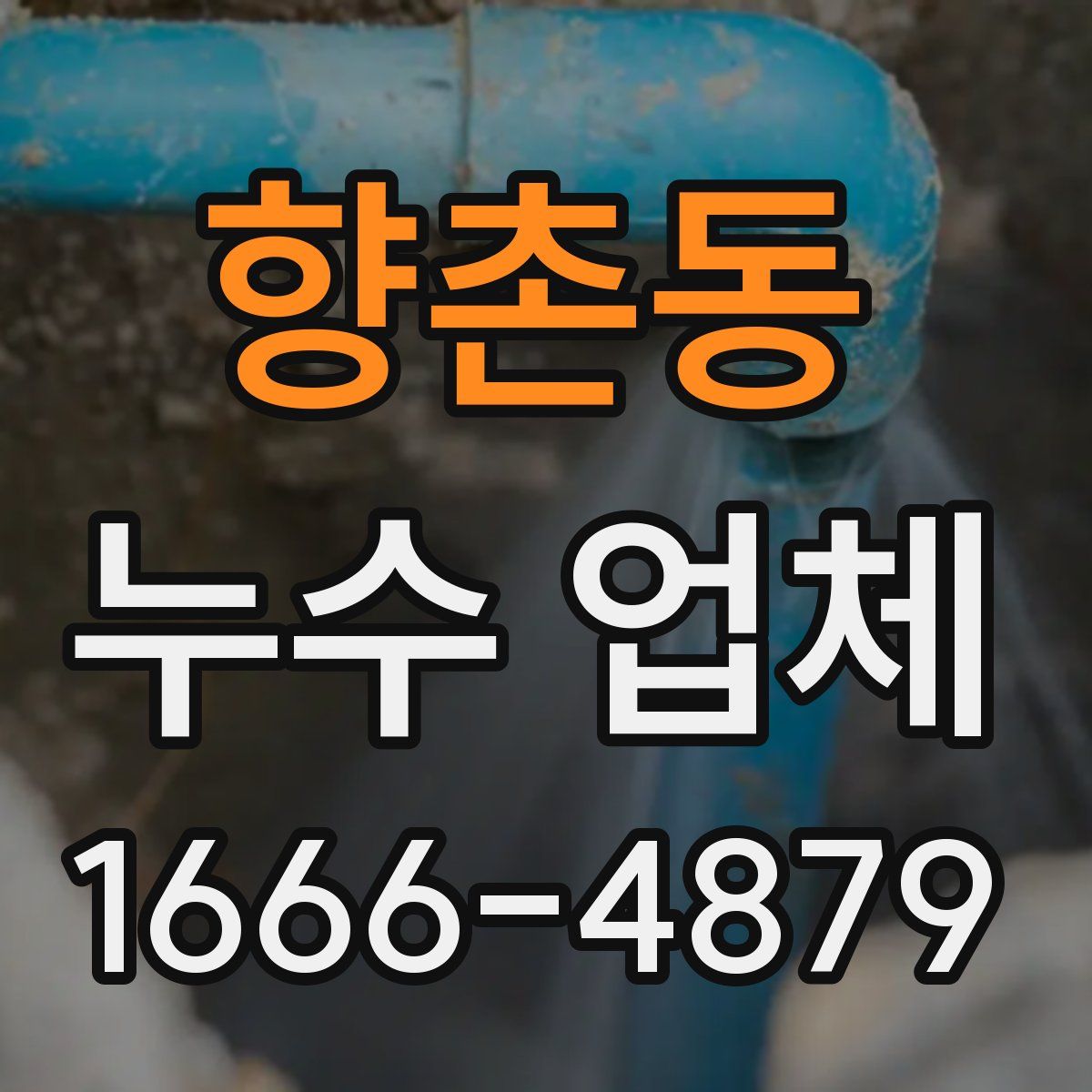 향촌동 누수 업체
