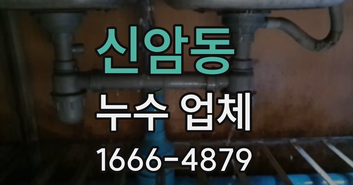 신암동 누수 업체