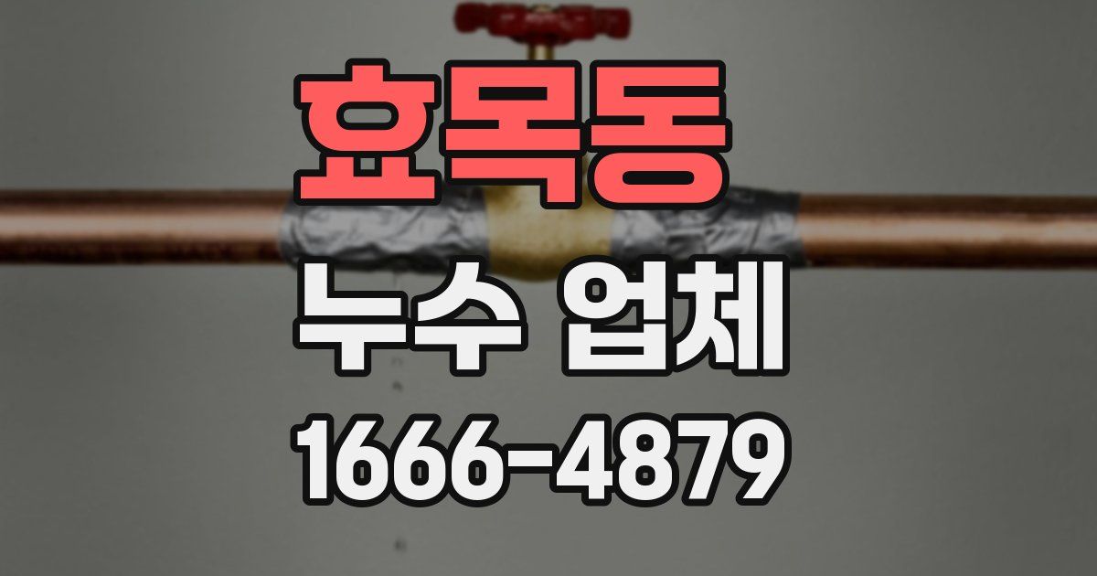 효목동 누수 업체
