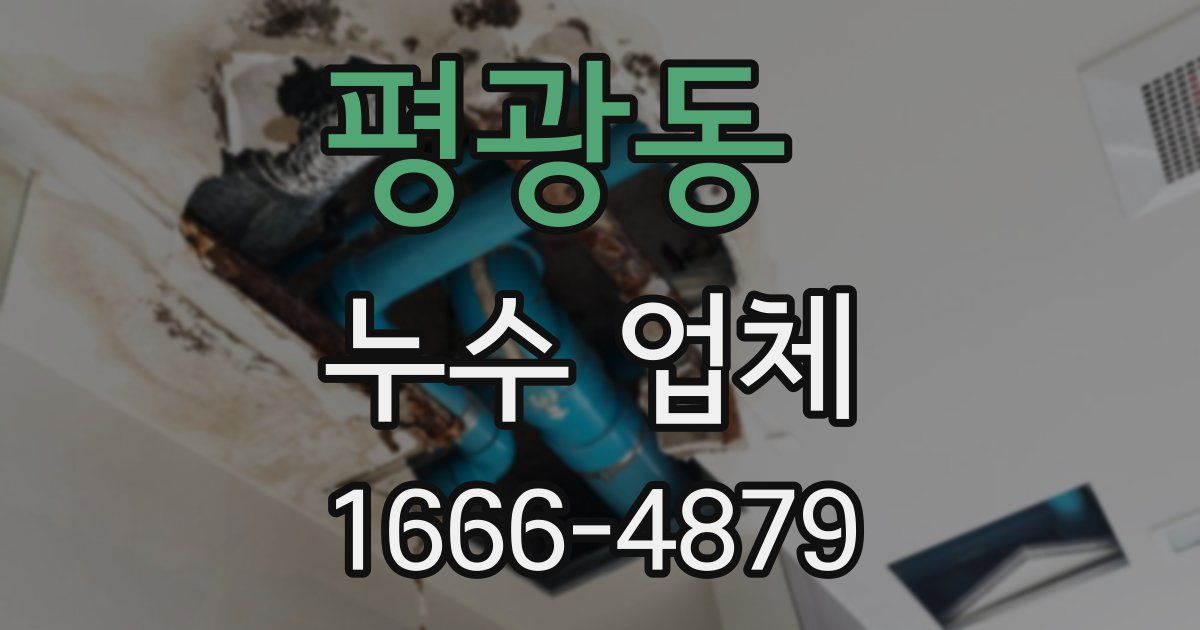 평광동 누수 업체