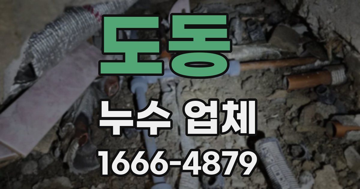 도동 누수 업체