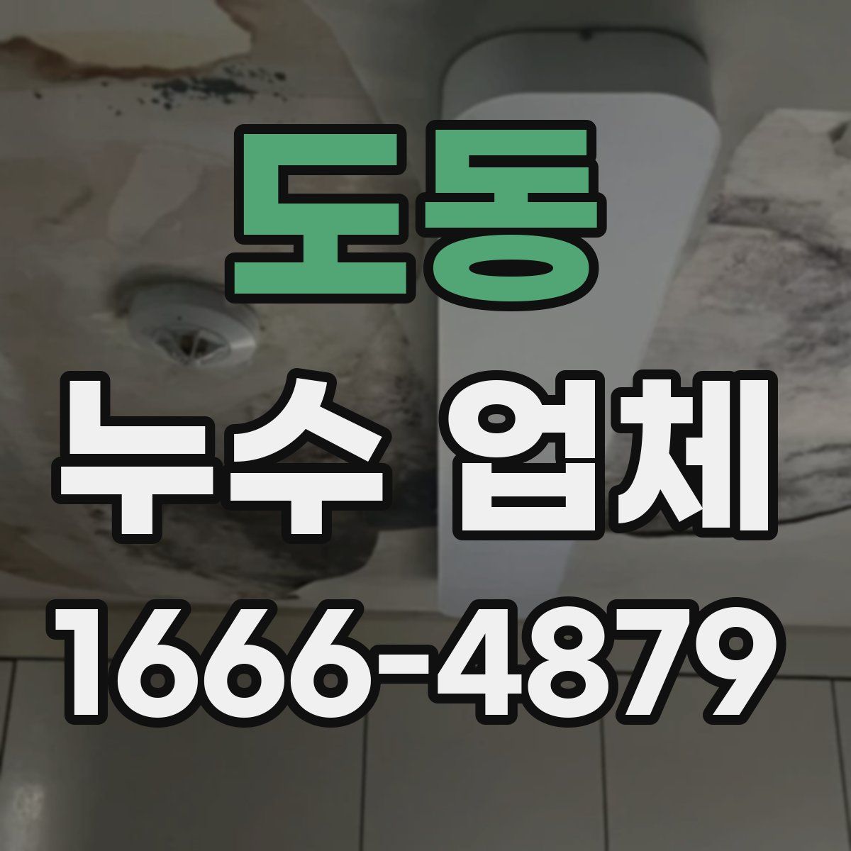 도동 누수 업체