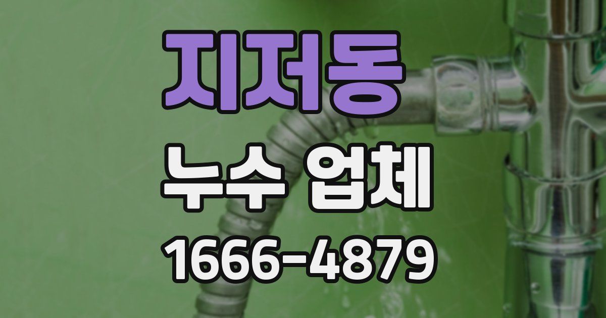 지저동 누수 업체