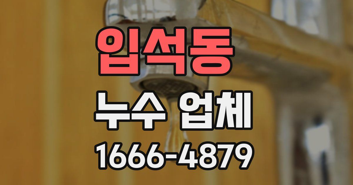입석동 누수 업체