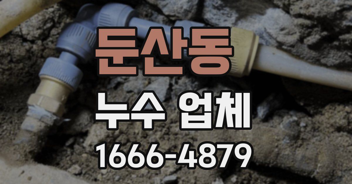 둔산동 누수 업체