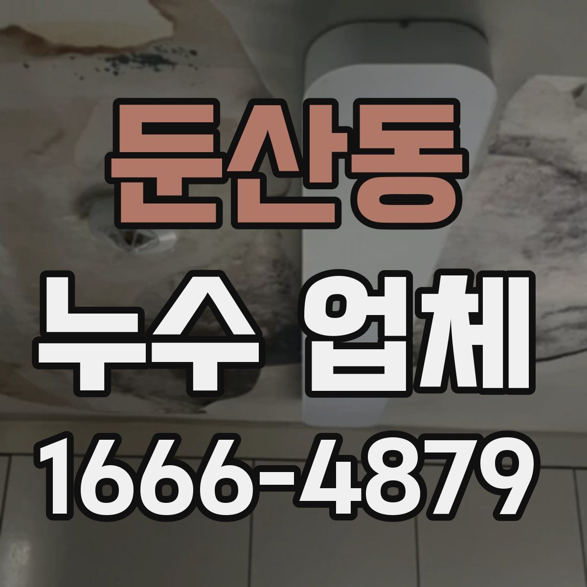 둔산동 누수 업체