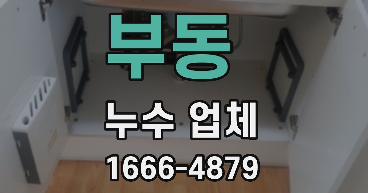 부동 누수 업체