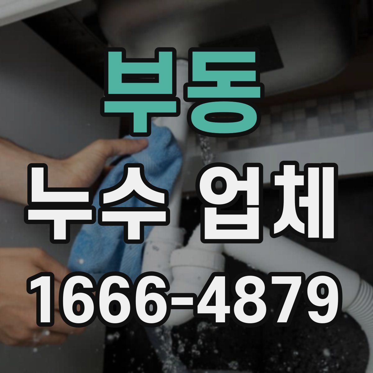 부동 누수 업체