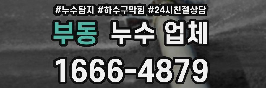 부동 누수 업체