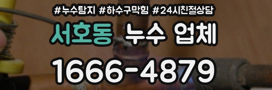 서호동 누수 업체