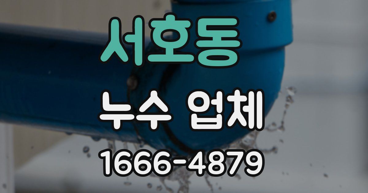 서호동 누수 업체