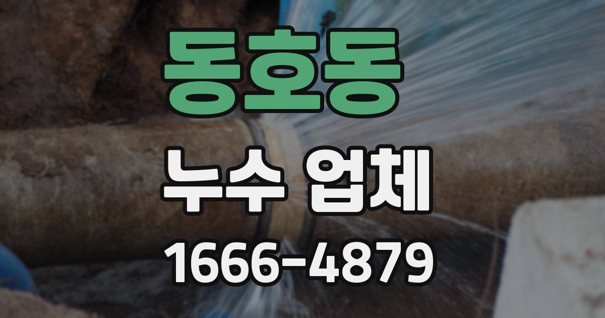 동호동 누수 업체