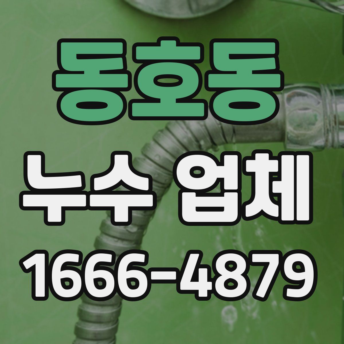 동호동 누수 업체