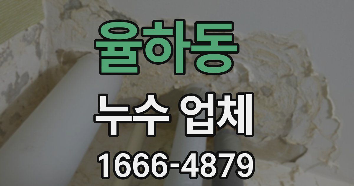 율하동 누수 업체