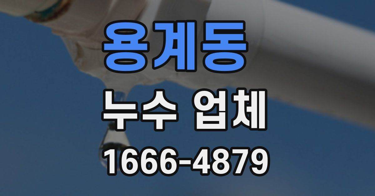 용계동 누수 업체