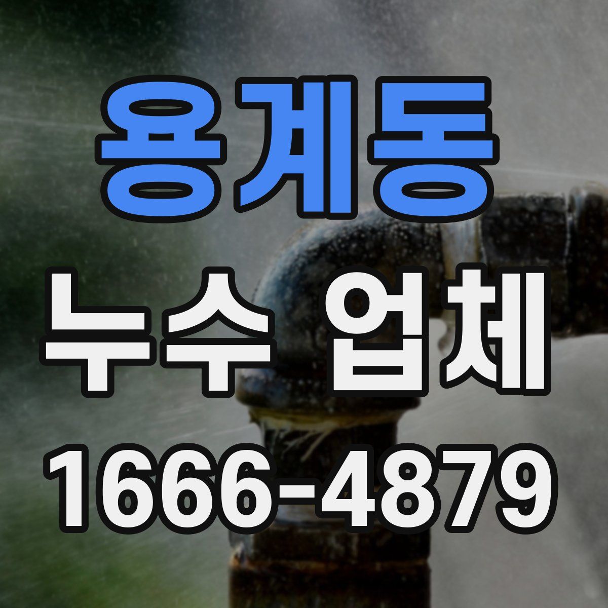 용계동 누수 업체