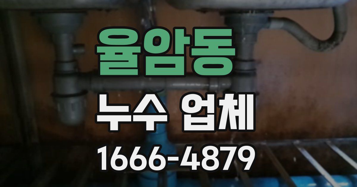 율암동 누수 업체