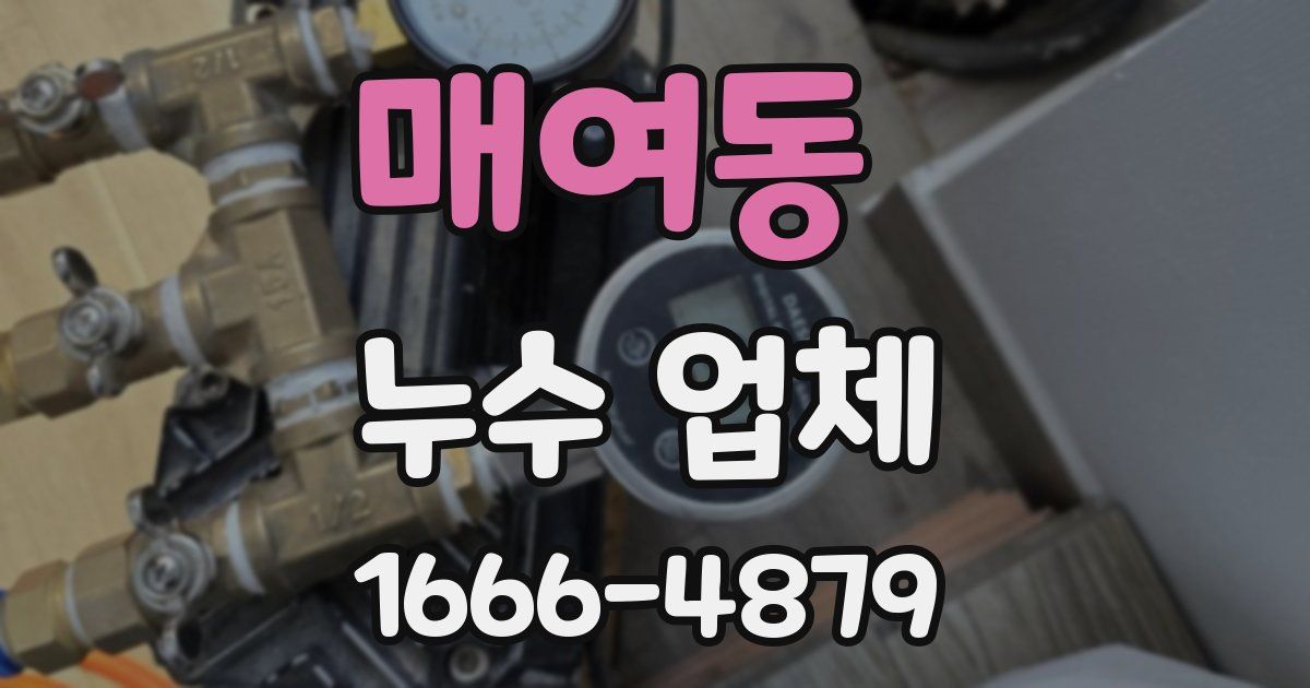 매여동 누수 업체