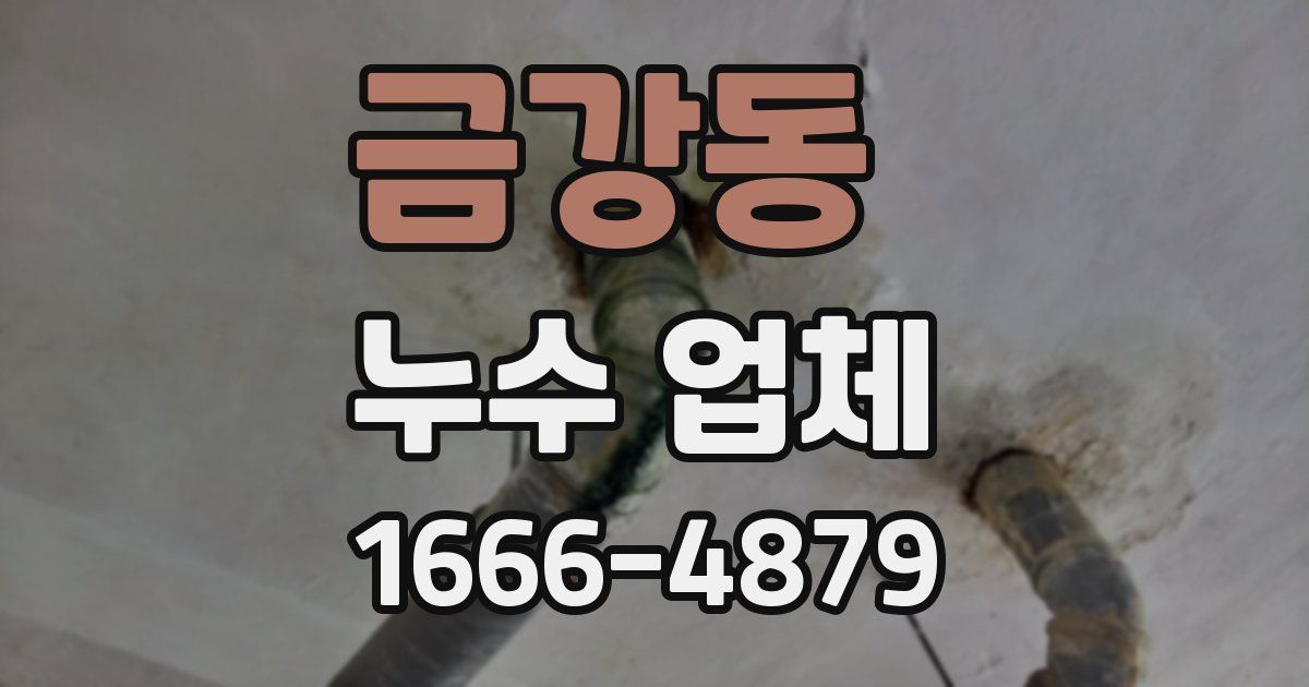 금강동 누수 업체
