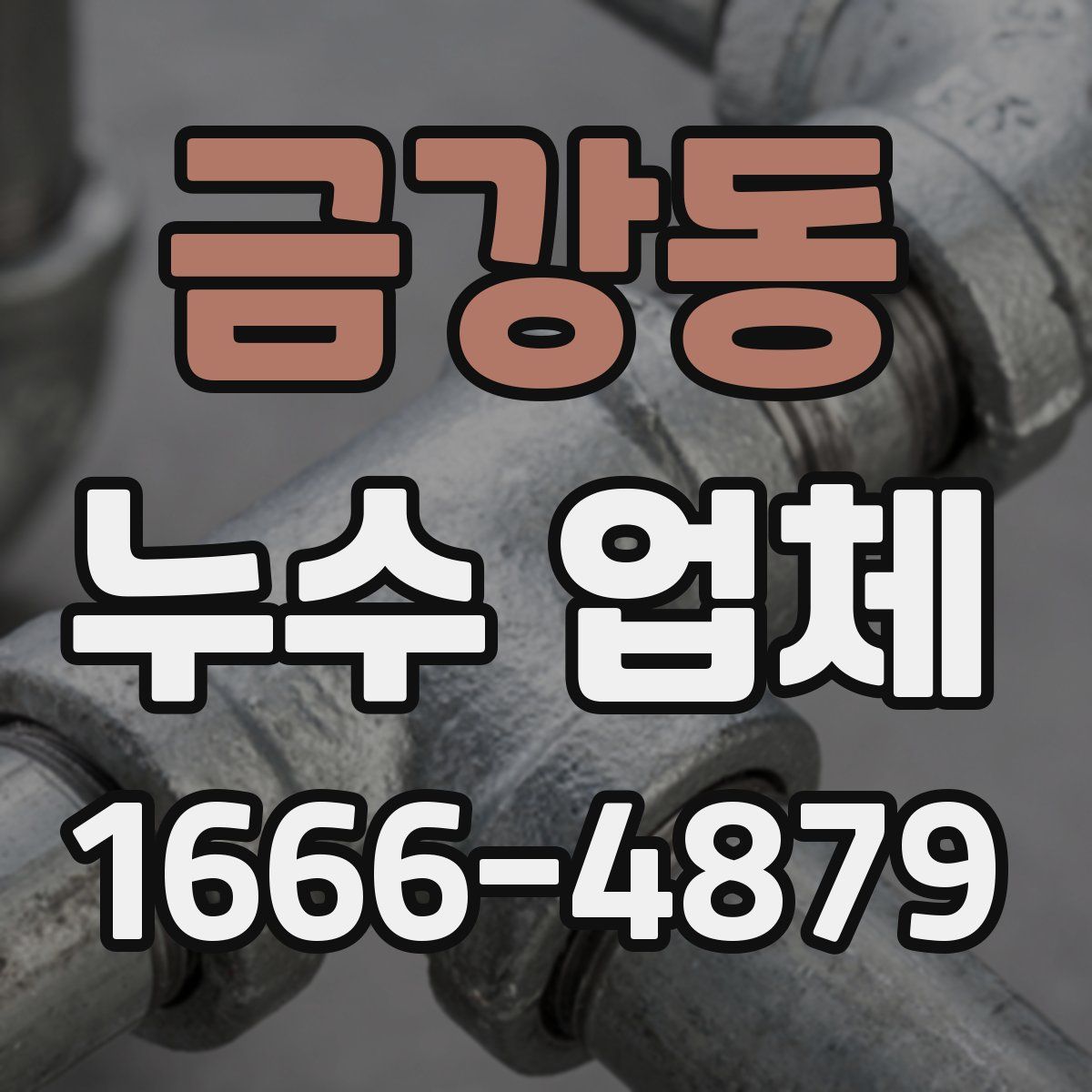 금강동 누수 업체