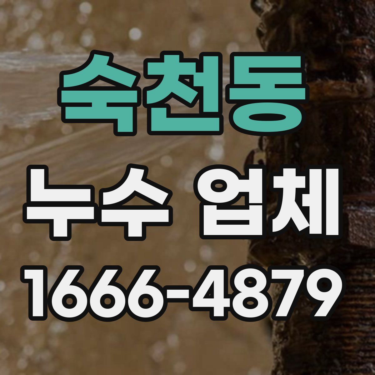 숙천동 누수 업체