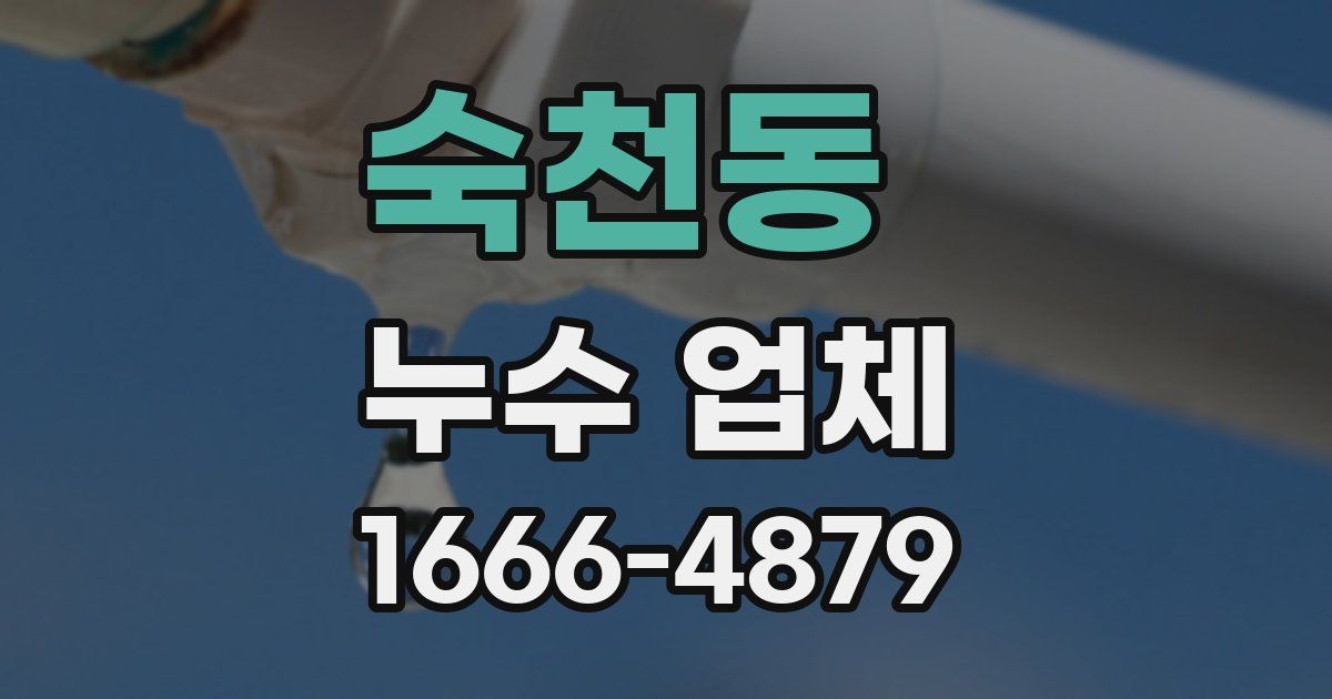 숙천동 누수 업체
