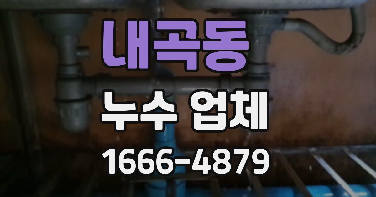 내곡동 누수 업체