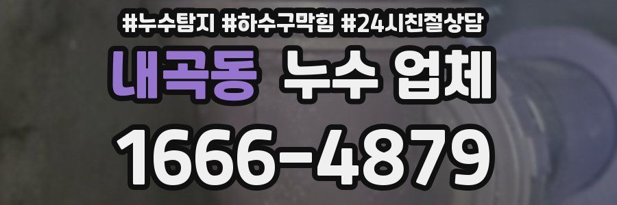 내곡동 누수 업체