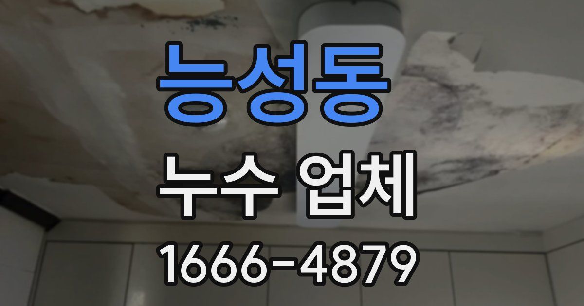 능성동 누수 업체
