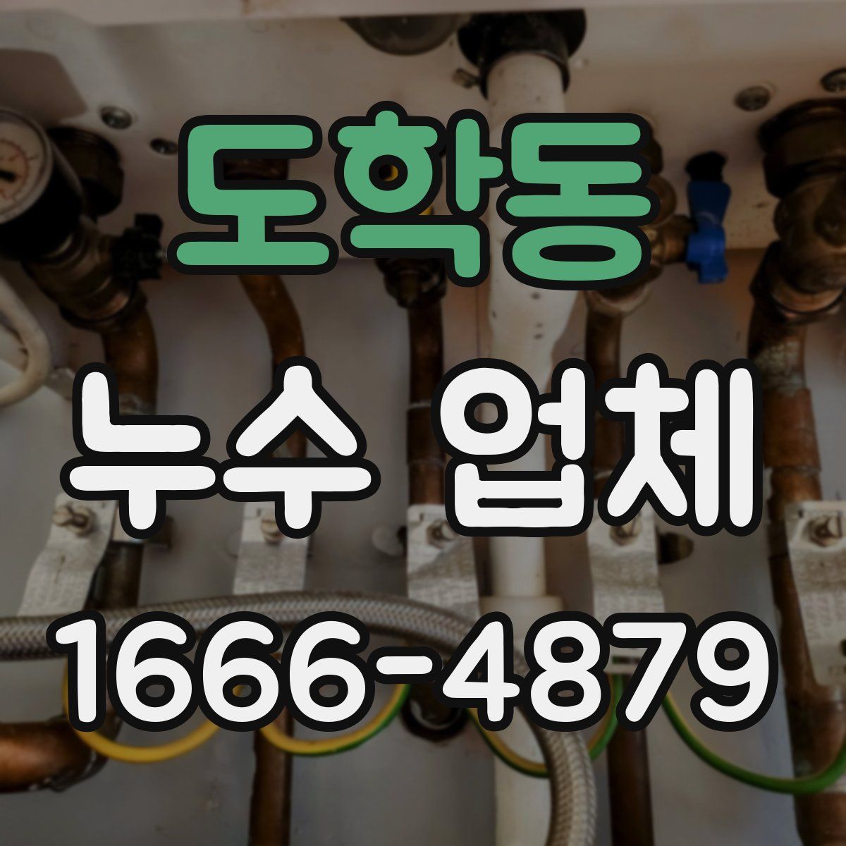 도학동 누수 업체