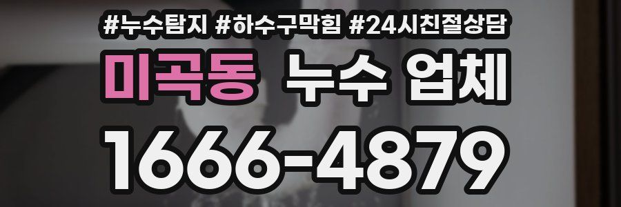 미곡동 누수 업체