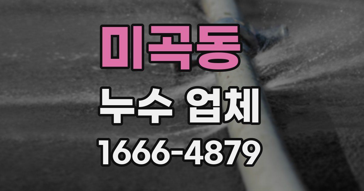 미곡동 누수 업체