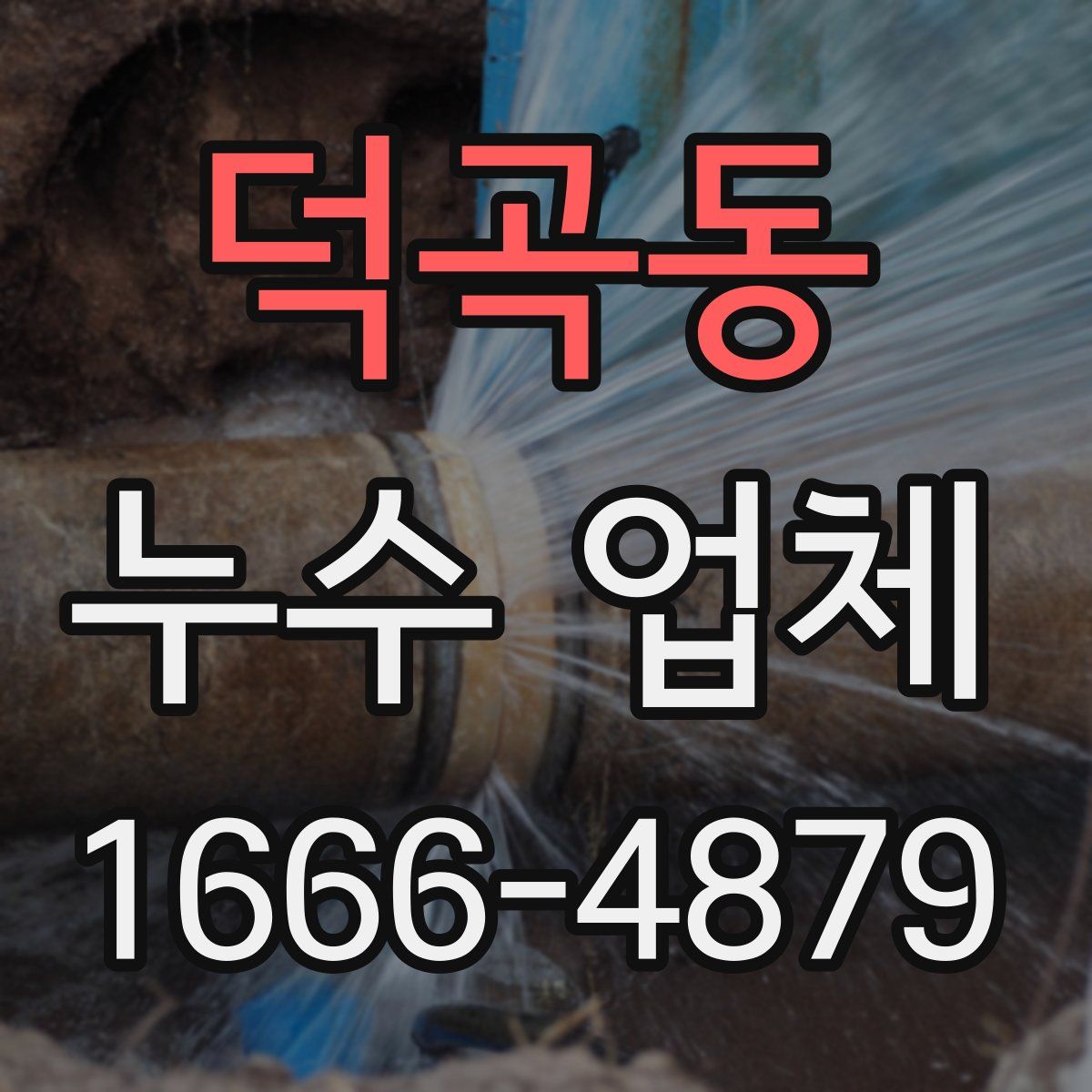 덕곡동 누수 업체