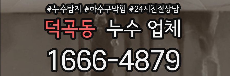 덕곡동 누수 업체