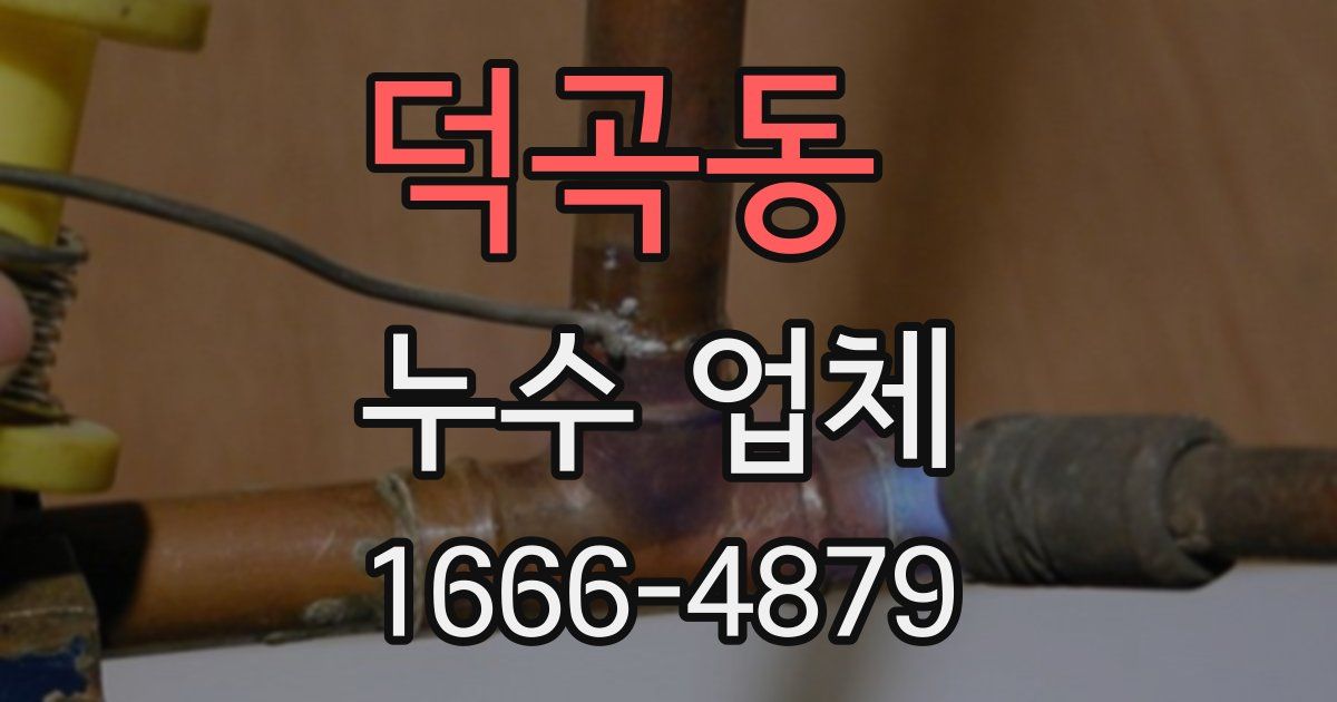 덕곡동 누수 업체
