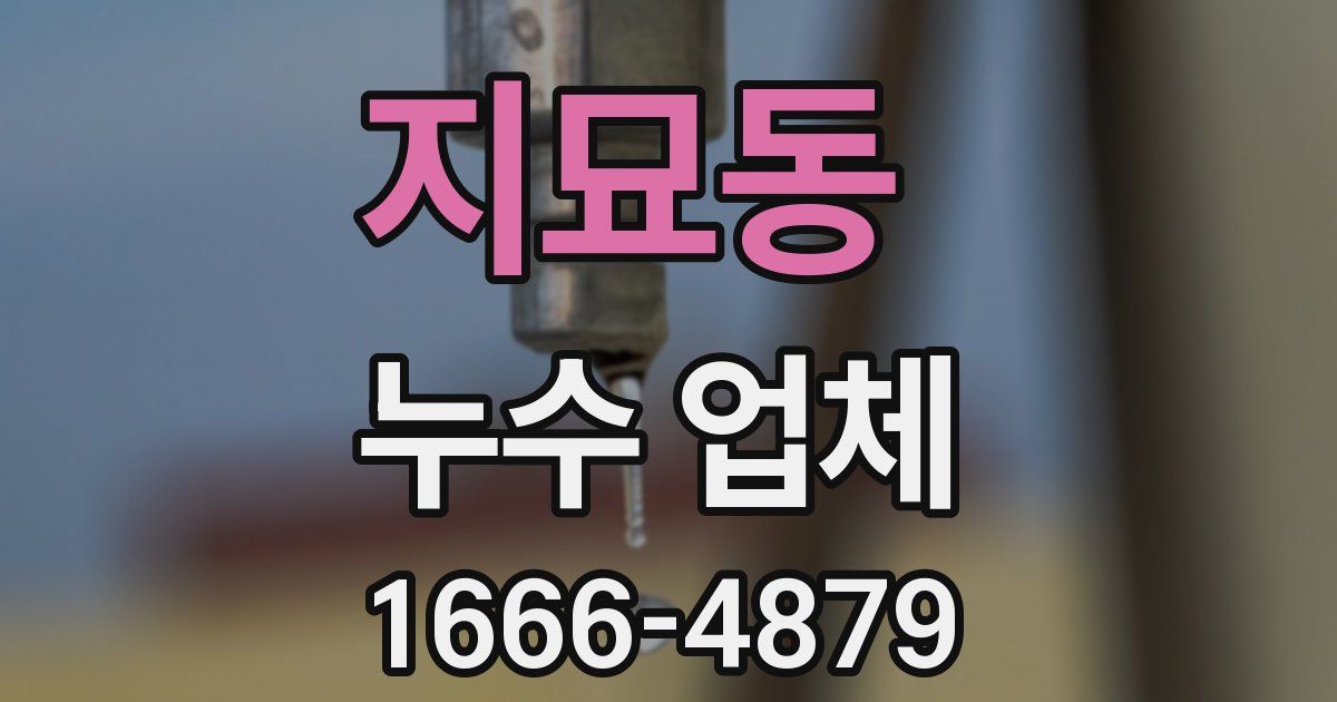 지묘동 누수 업체