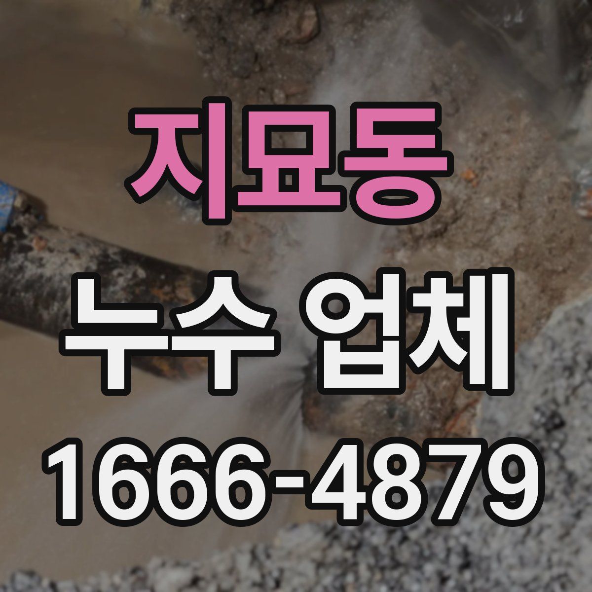 지묘동 누수 업체