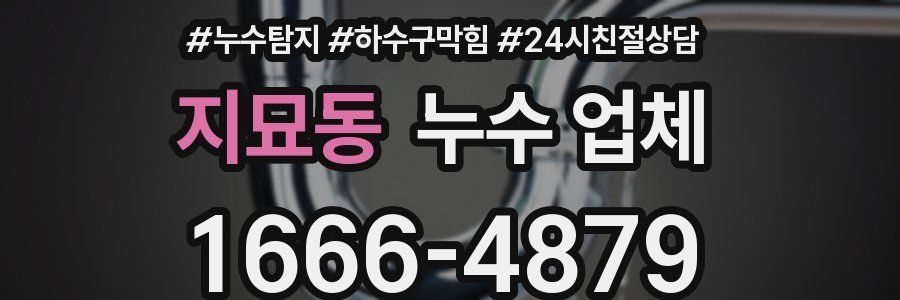 지묘동 누수 업체