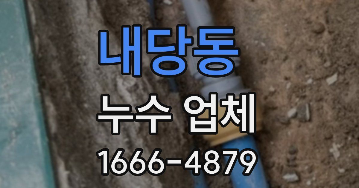 내당동 누수 업체