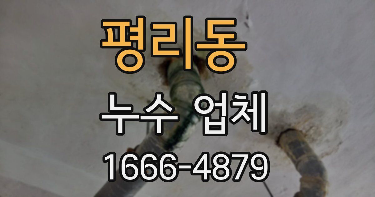 평리동 누수 업체