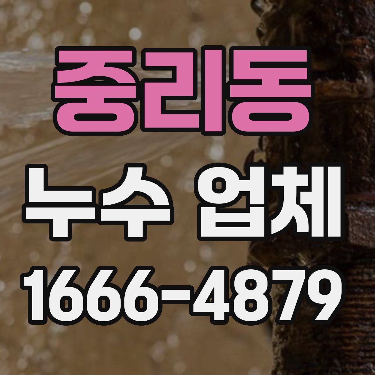 중리동 누수 업체