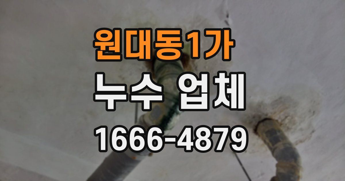원대동1가 누수 업체