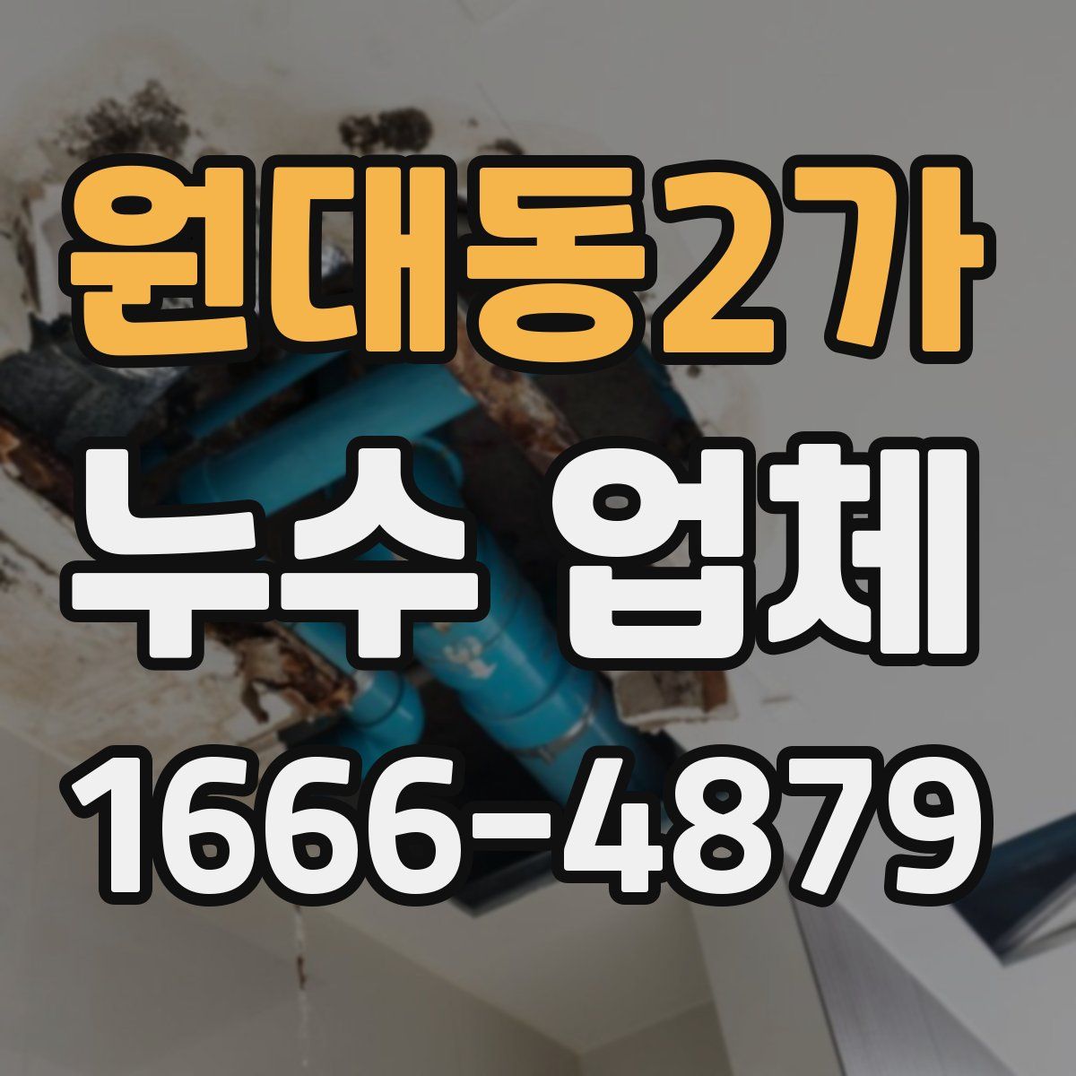원대동2가 누수 업체