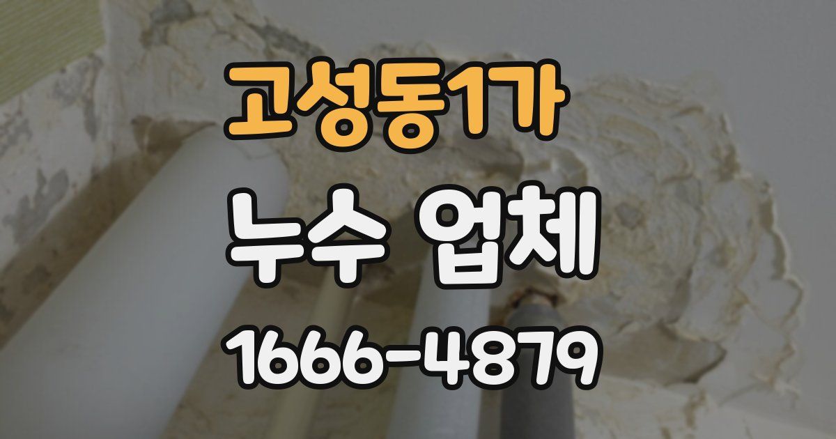 고성동1가 누수 업체