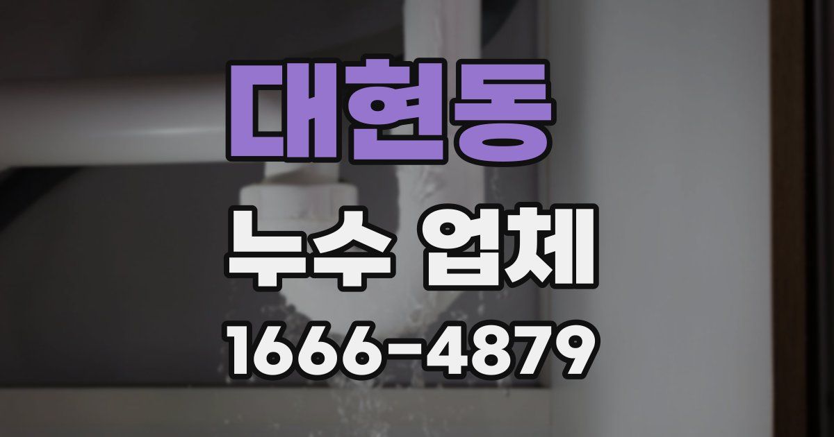 대현동 누수 업체