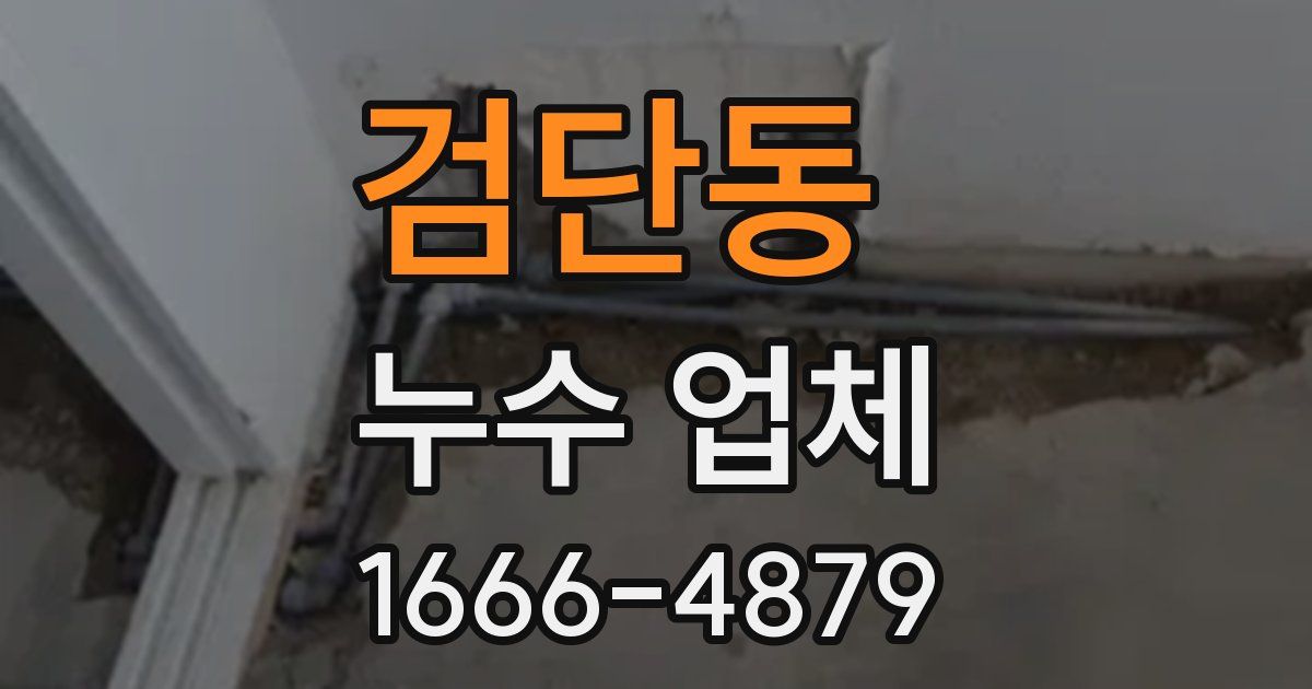 검단동 누수 업체