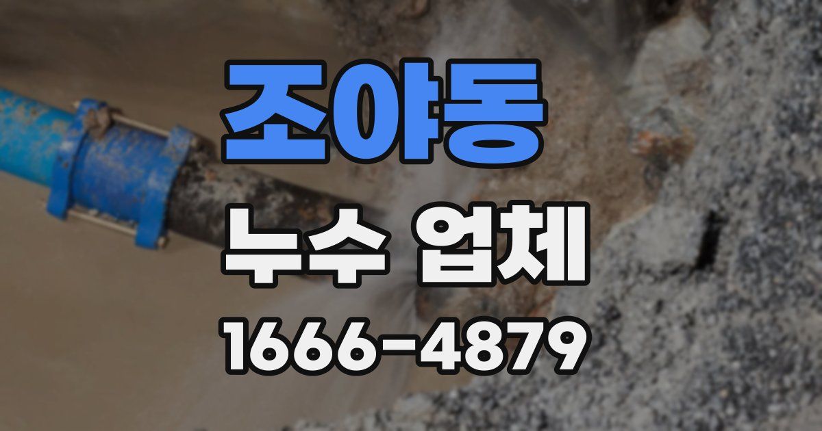 조야동 누수 업체